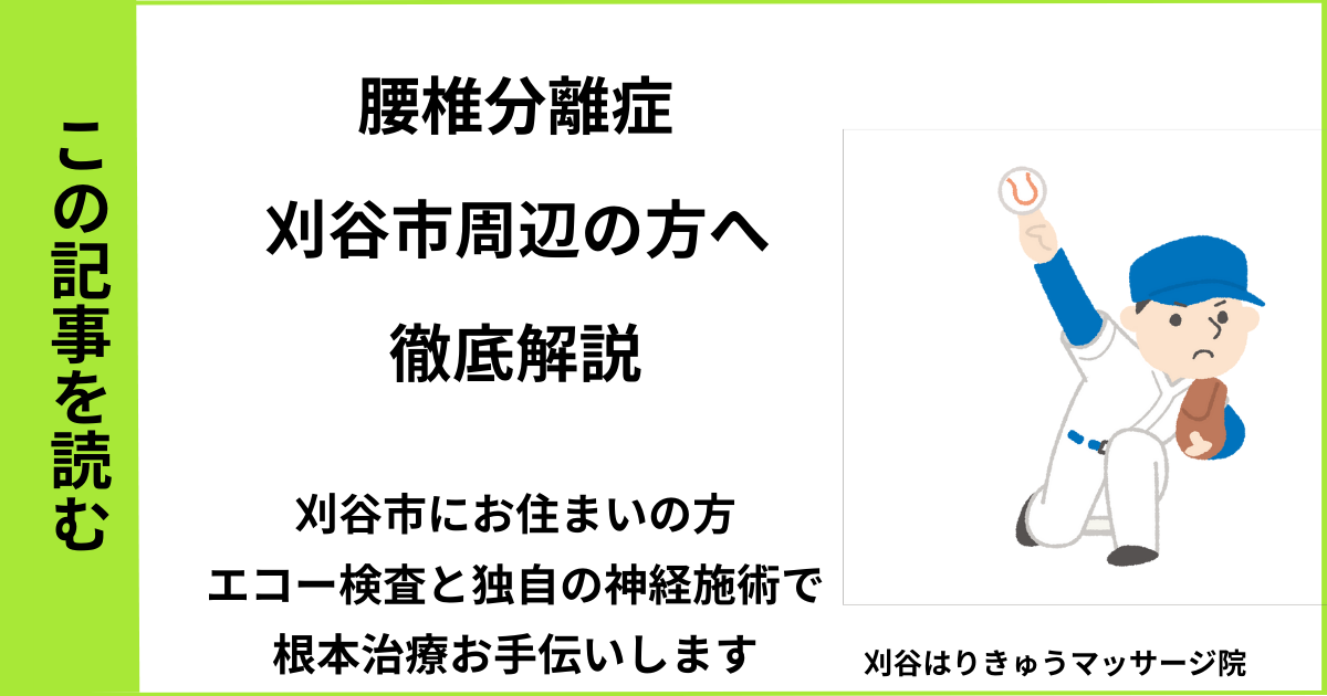 愛知県刈谷市で接骨院や病院、整体で改善しない、腰痛・腰椎分離症・分離すべり症を治す鍼灸整体院・マッサージのブログ