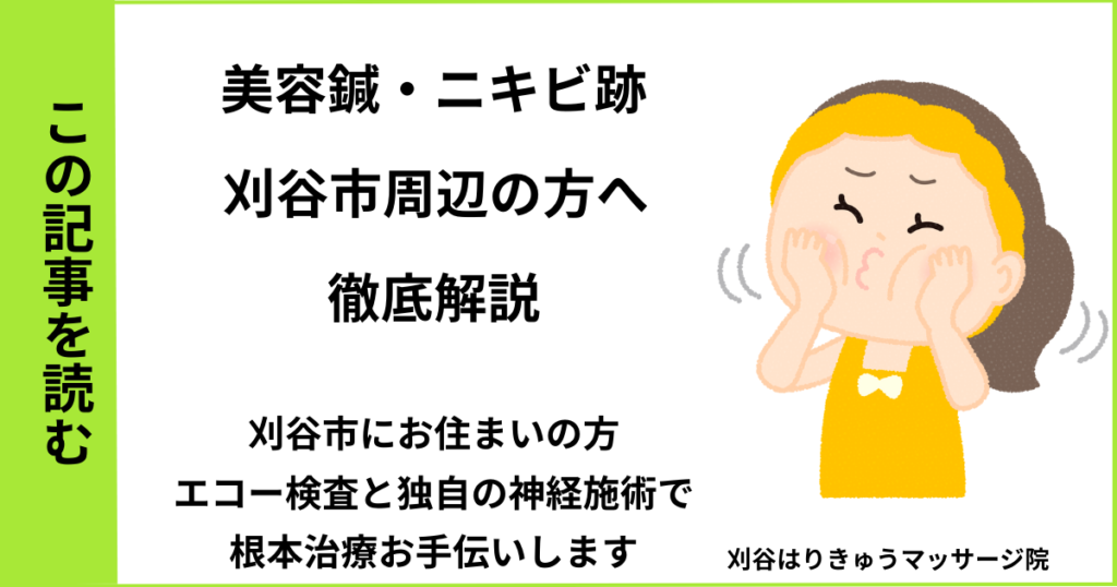 愛知県刈谷市で接骨院や病院、整体で改善しない美容鍼・ニキビ跡・クレーターを治す鍼灸整体院・マッサージのブログ