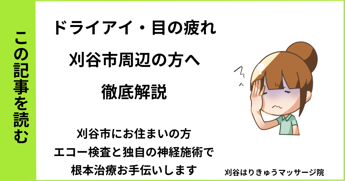 愛知県刈谷市で接骨院や病院で治らないドライアイ・目の疲れ・自律神経を改善する鍼灸整体院のブログ