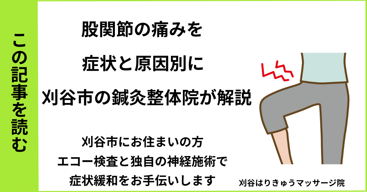 愛知県刈谷市・安城・知立・半田・東浦で人気の接骨院や病院、整体で改善しない、股関節の痛みを治す鍼灸整体院・マッサージのブログ