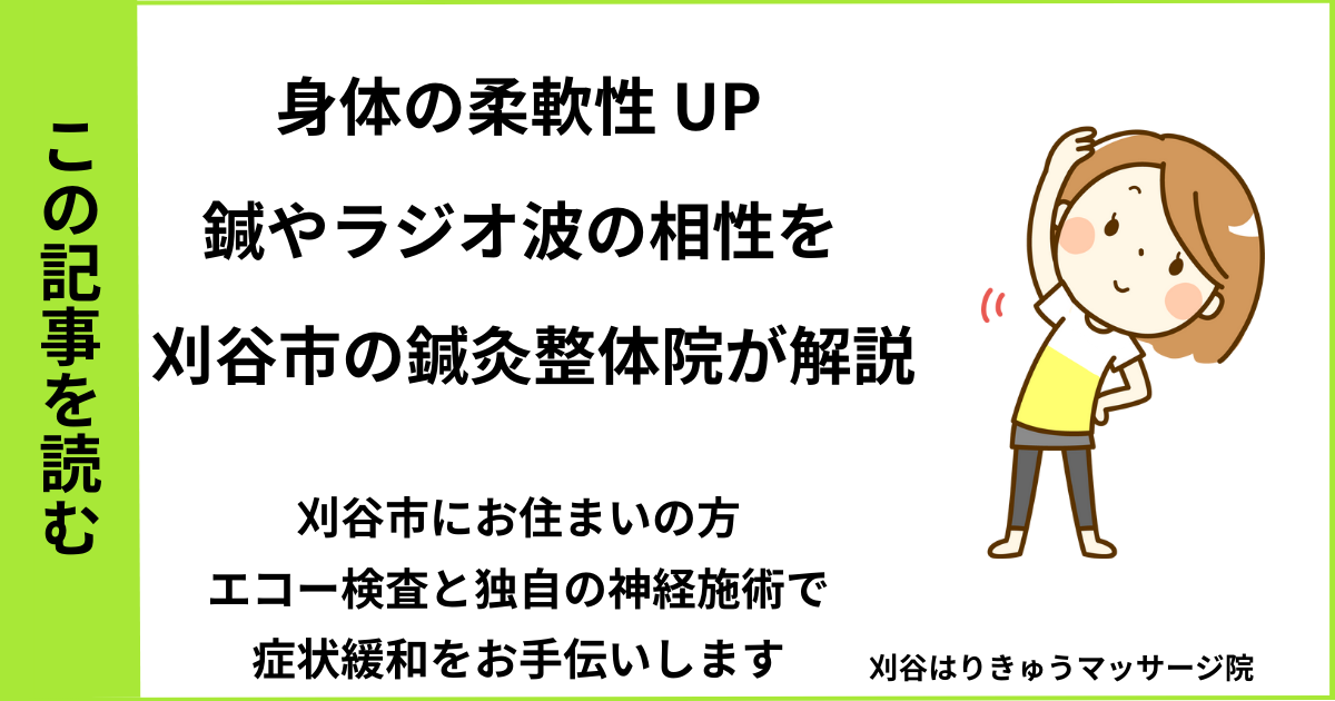 愛知県刈谷市・安城・知立・半田・東浦で人気の接骨院や病院、整体で改善しない、身体の硬さ・柔軟性を治す鍼灸整体院・マッサージのブログ