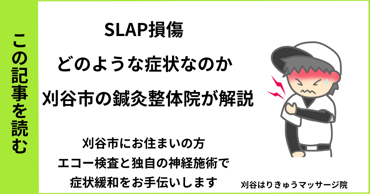 愛知県刈谷市・安城・知立・半田・東浦・大府で人気の接骨院や病院、整体で改善しない、肩の痛み・SLAP損傷・スラップ損傷を治す鍼灸整体院・マッサージのブログ