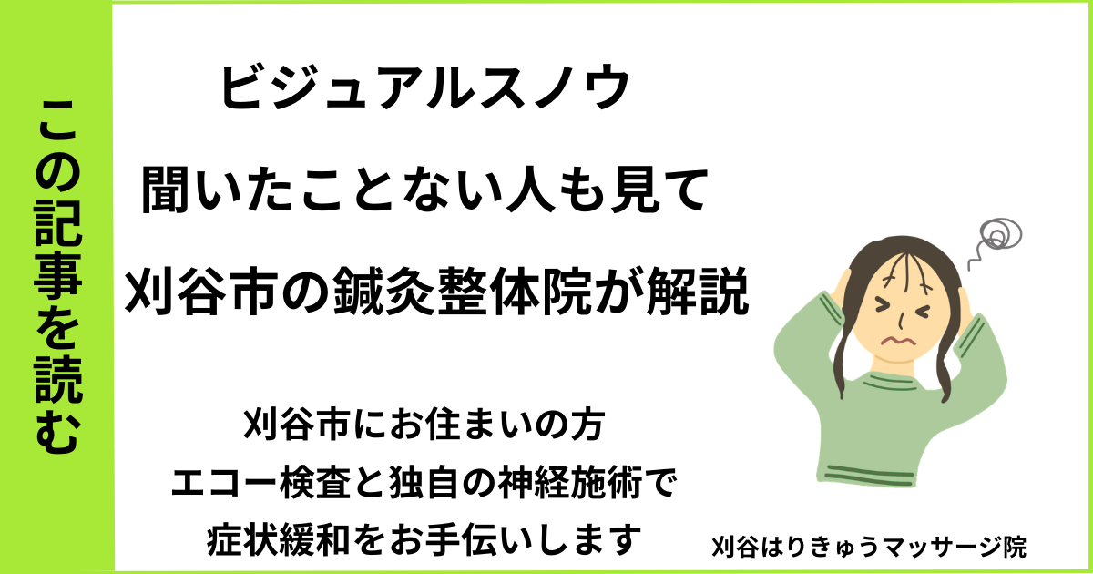 愛知県刈谷市・安城・知立・半田・東浦・大府で人気の接骨院や病院、整体で改善しないビジュアルスノウを治す鍼灸整体院・マッサージのブログ