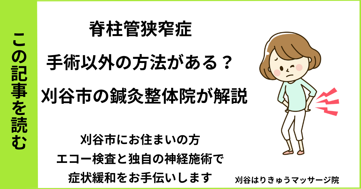 愛知県刈谷市・安城・知立・半田・東浦・大府で人気の接骨院や病院、整体で改善しない脊柱管狭窄症を治す鍼灸整体院・マッサージのブログ
