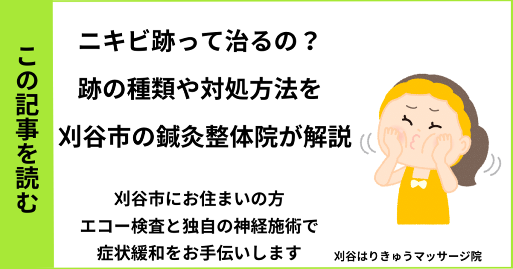 愛知県刈谷市・安城・知立・半田・東浦・大府で人気の接骨院や病院、整体で改善しない美容鍼によるニキビ跡・リフトアップを治す鍼灸整体院・マッサージのブログ