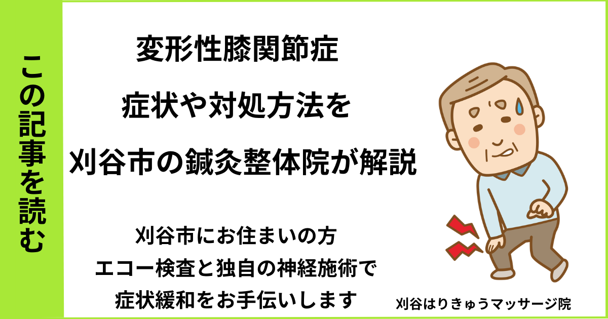 愛知県刈谷市・安城・知立・半田・東浦・大府で人気の接骨院や病院、整体で改善しない膝痛・変形性膝関節症を治す鍼灸整体院・マッサージのブログ
