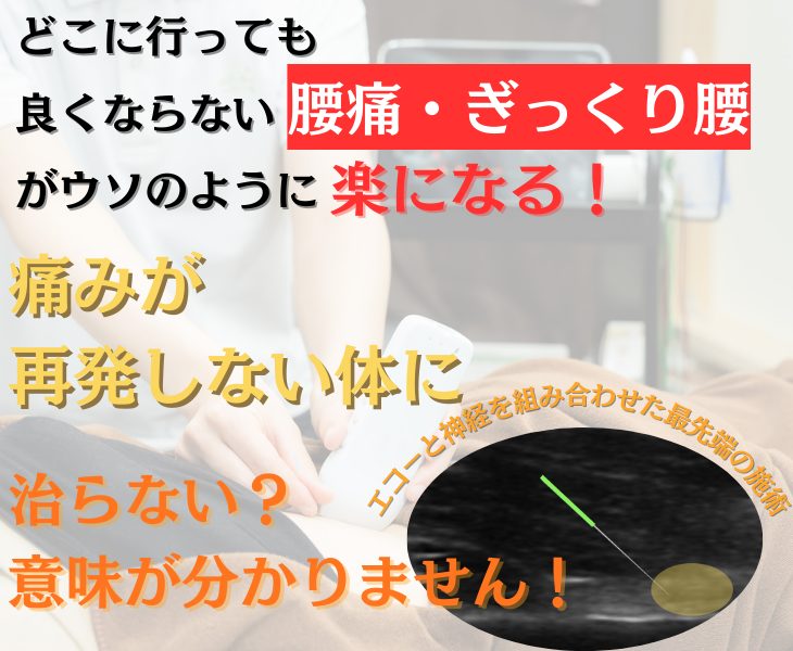 刈谷市・知立市・安城市・大府市・東浦町で慢性腰痛・ぎっくり腰をエコーや神経施術・鍼灸・ラジオ波で改善する鍼灸整体院。接骨院。マッサージ
