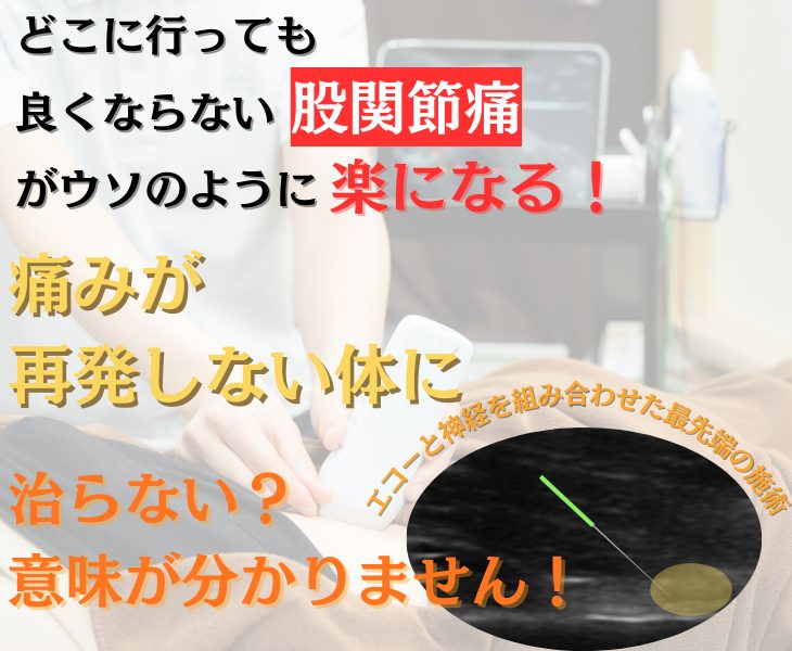 刈谷市・知立市・安城市・大府市・東浦町で股関節痛をエコーや神経施術・鍼灸・ラジオ波で改善する鍼灸整体院。接骨院。マッサージ