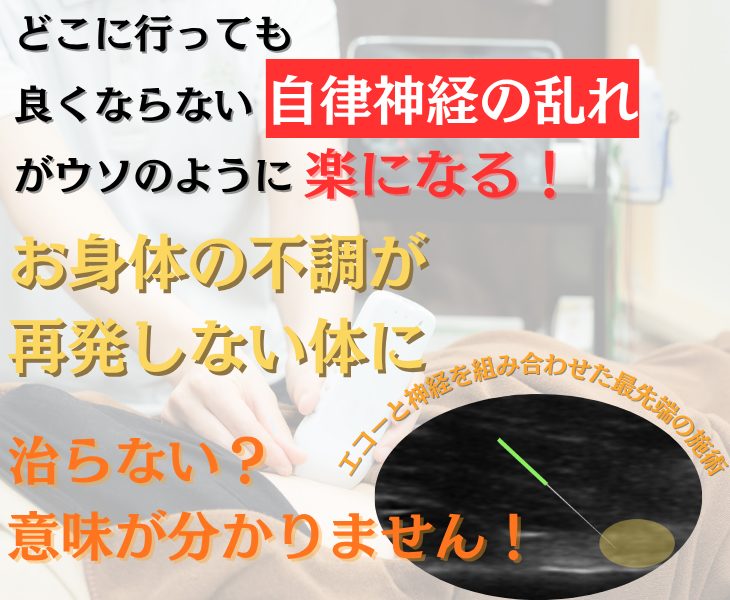 刈谷市・知立市・安城市・大府市・東浦町で自律神経の乱れをエコーや神経施術・鍼灸・ラジオ波で改善する鍼灸整体院。接骨院。マッサージ