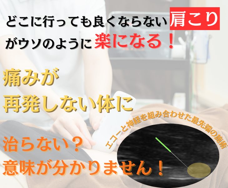 刈谷市・知立市・安城市・大府市・東浦町で首肩こりをエコーや神経施術・鍼灸・ラジオ波で改善する鍼灸整体院。接骨院。マッサージ