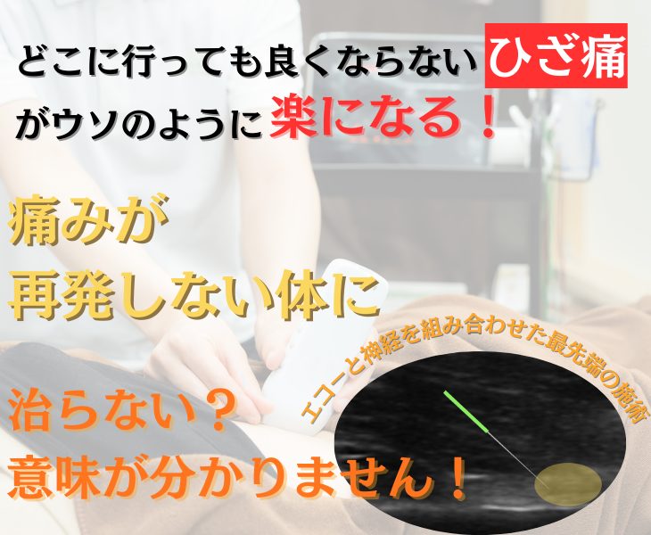 刈谷市・知立市・安城市・大府市・東浦町で膝痛・変形性膝関節症をエコーや神経施術・鍼灸・ラジオ波で改善する鍼灸整体院。接骨院。マッサージ