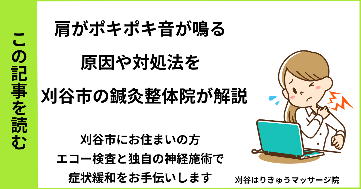 愛知県刈谷市・安城・知立・半田・東浦・大府で人気の接骨院や病院、整体で改善しない肩のポキポキ・ゴリゴリ音を治す鍼灸整体院・マッサージのブログ