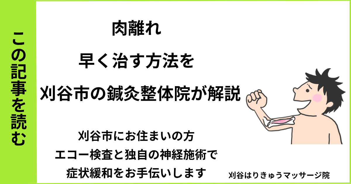 愛知県刈谷市・安城・知立・半田・東浦・大府で人気の接骨院や病院、整体で改善しない肉離れを治す鍼灸整体院・マッサージのブログ