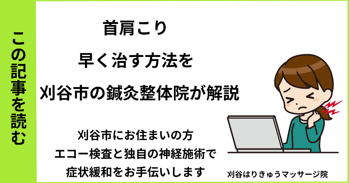 愛知県刈谷市・安城・知立・半田・東浦・大府で人気の接骨院や病院、整体で改善しない首肩こりを治す鍼灸整体院・マッサージのブログ